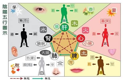 屬水 行業|五行屬水的行業別或職業